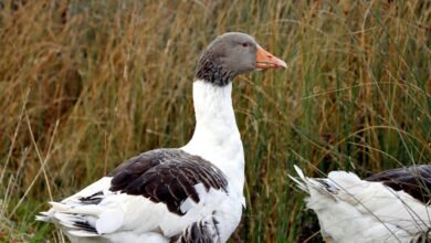 kilom profile overview insights