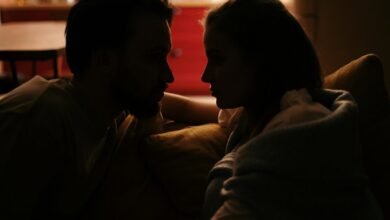 lobasincensura profile summary