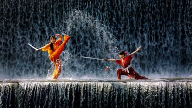 identifier performance ledger summary