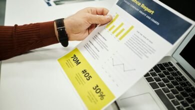 long range numeric governance report