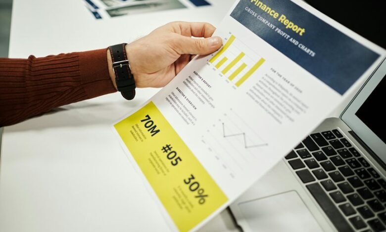 long range numeric governance report