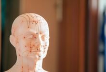 numeric reference framework overview