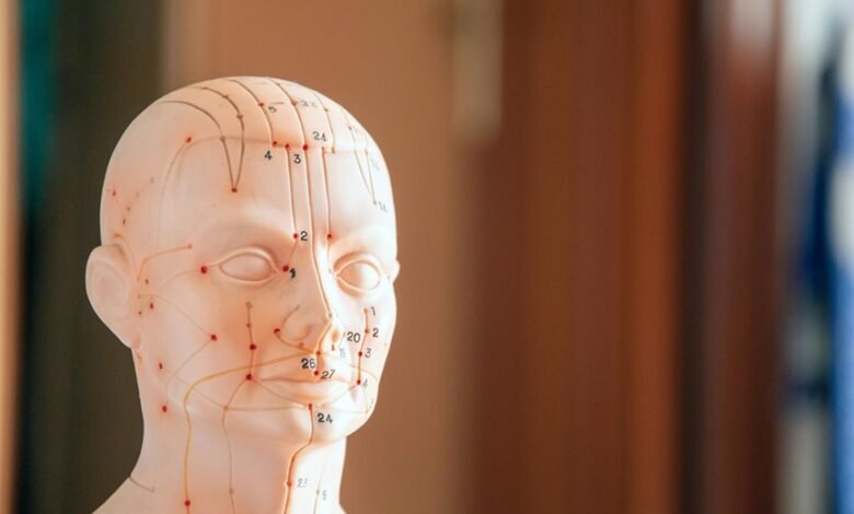 numeric reference framework overview